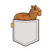Capybara capybara capybara gnaver carpincho dyr sød