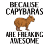 Capybara gift capybara rodent Carpincho