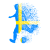 Sweden footballers football footballers