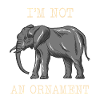 Elefant Tierschutz
