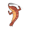 shrimp