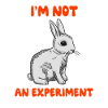 Hase Tierschutz