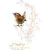 Wren Illustration