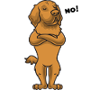Sturer Hovawart Dog
