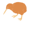 kiwi-oiseau kiwi