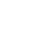 kiwi-bird kiwi bird