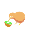 kiwi-oiseau kiwi