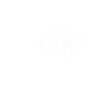kiwi-oiseau kiwi