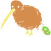 kiwi-oiseau kiwi