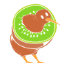 kiwi-bird kiwi bird
