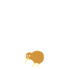kiwi-bird kiwi bird
