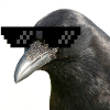 LilCrow