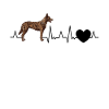 Hollandse Herder saying Dutch Shepherd