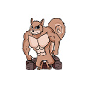 Funny squirrel gift