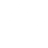 White Polynesian skull