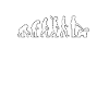 Tibet Terrier Evolution