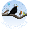 Blackbird celebrates party birthday with bird friends