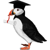 Puffin Bird Graduation Abitur