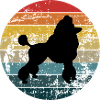 Caniche