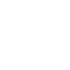 Bolonka Zwetna The Walking Dad