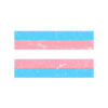 Bandiera transgender trans LGBT transessuale
