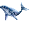 in the sea