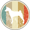 Basenji