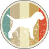 Border Terrier
