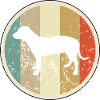 Deutsche Bracke Jagdhund