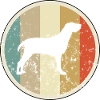 Bracco Italiano