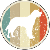 Deutsch Langhaar Jagdhund
