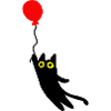 fliegende Katze