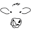 Cute cow facial expression