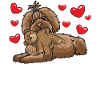 Bolonka Zwetna chien avec doublure
