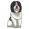 Nederlandse Schapendoes Dog