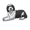 Sheepadoodle Chien