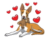 Podenco Chien avec doublures