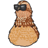 Quail with sunglasses