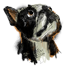 French Bulldog Drawing