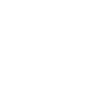 Fire Dragon