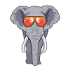 Elephant sunglasses summer