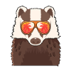 Badger sunglasses summer
