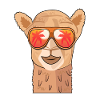 Camel sunglasses summer