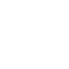 Seele logo