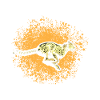 Guépard