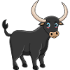 bull