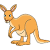 Kangaroo Cartoon