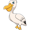 pelican