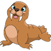 walrus