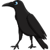 crow